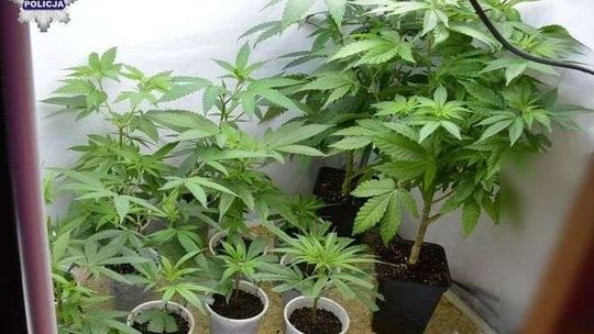 Narkotyki w mieszkaniu 34-latka