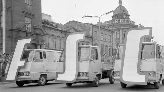 Ramzes i żuki, które zawojowały świat