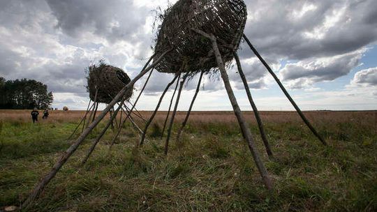 VII Landart Festiwal