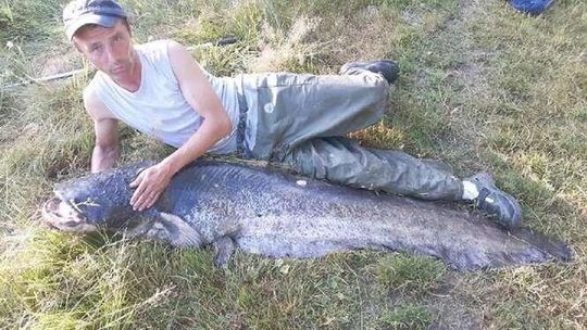 Sebastian Radzio, który w rzeczywistości wyciągnął suma z Bugu