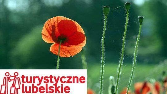 Turystyczne Lubelskie