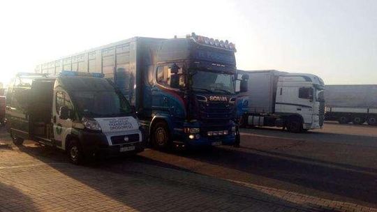 Za co karali inspektorzy ITD w woj. lubelskim Za co karali inspektorzy ITD w woj. lubelskim