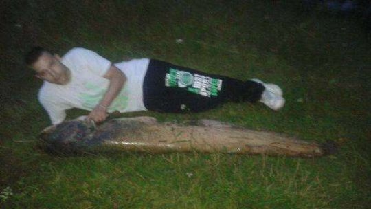 Drugi gigantyczny sum