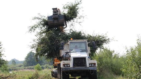 Zalew Zimna Woda w Łukowie przejdzie lifting Zalew Zimna Woda w Łukowie przejdzie lifting