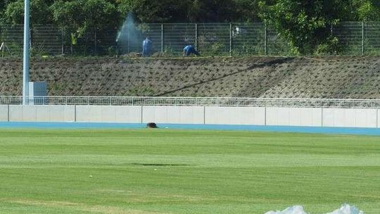 Budowa stadionu lekkoatletycznego w Lublinie