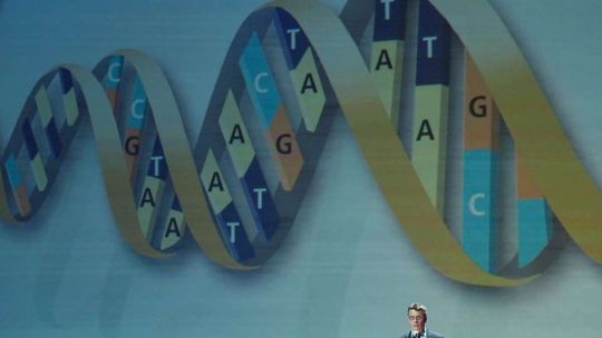 I Kongres Kultury Województwa Lubelskiego 