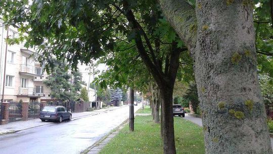 Ulica Kasztanowa w Lublinie