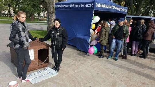 Akcja „Zerwijmy łańcuchy”