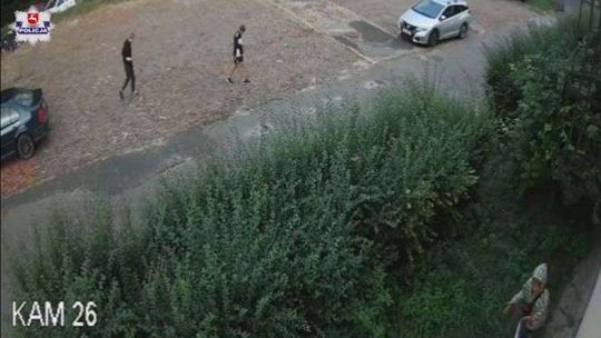 Bezmyślny akt wandalizmu Bezmyślny akt wandalizmu