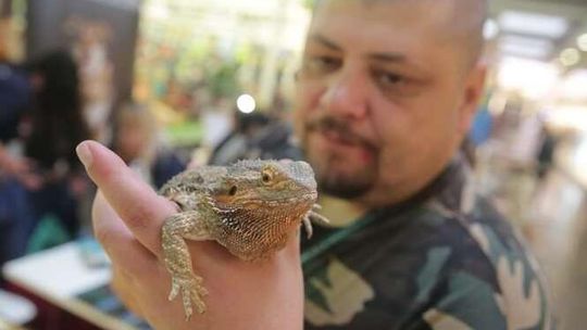 ZwierzoLublin 2017 w Felicity