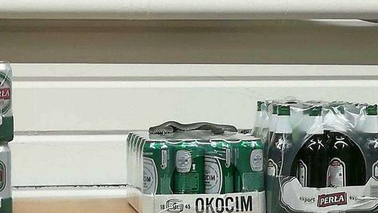 Zaskroniec w supermarkecie
