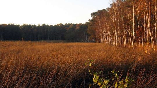 Jesień na zdjęciach naszych Czytelników