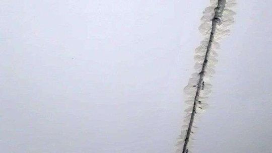 Dewastacja mieszkania komunalnego. Zdjęcia ZNK w Lublinie Dewastacja mieszkania komunalnego. Zdjęcia ZNK w Lublinie