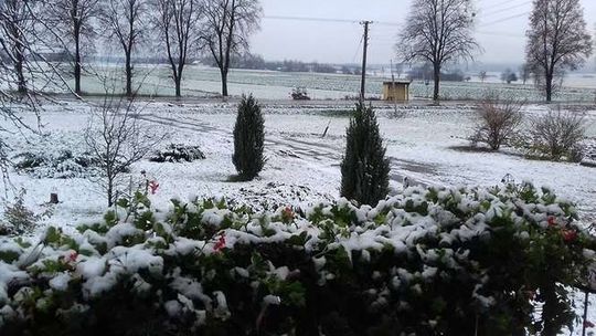  Śnieg na Lubelszczyźnie