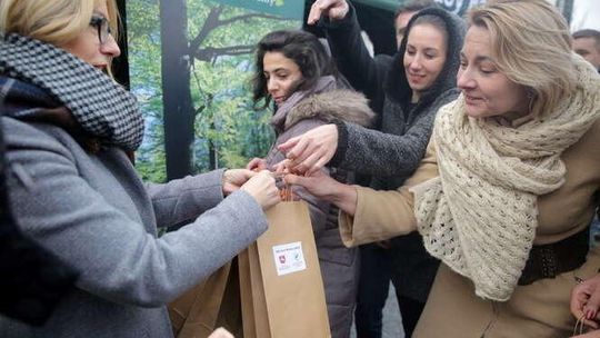 700 drzewek na 700-lecie Lublina