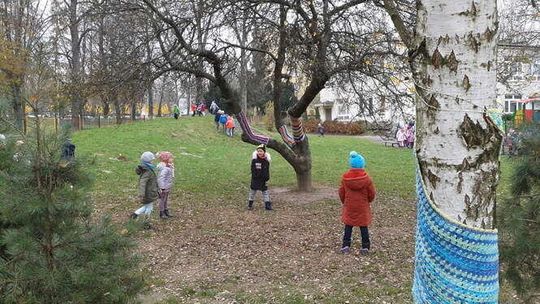 Drzewa w szalikach przy Przedszkolu nr 42 w Lublinie