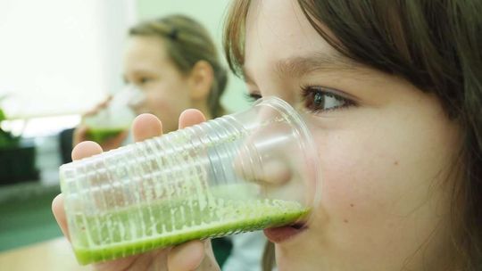 Zielona Kraina w SP nr 46