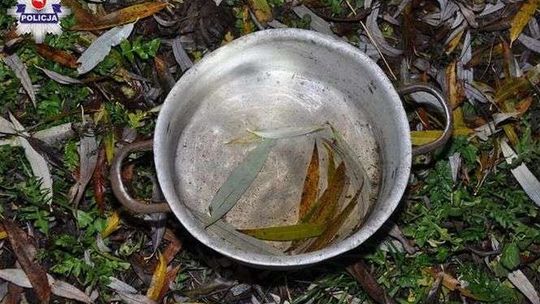 45-latka zagłodziła psy 45-latka zagłodziła psy