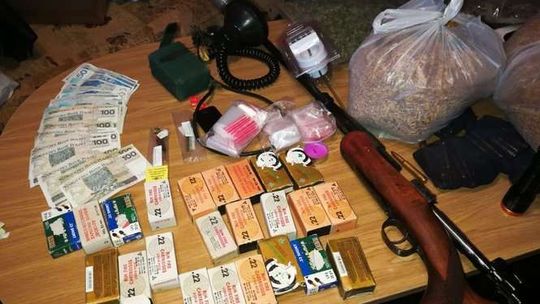 Plantacja konopi w gm. Wojciechów