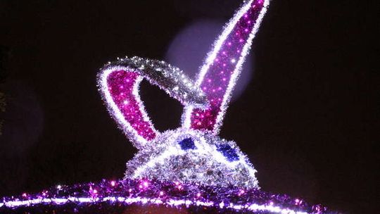 Świąteczna iluminacja w Puławach włączona Świąteczna iluminacja w Puławach włączona