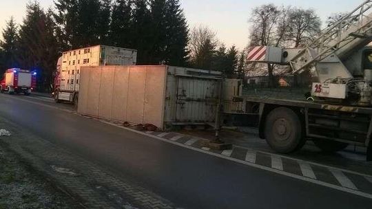 Ciężarówka z bydłem wywróciła się na drodze