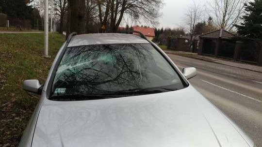 Nietypowa kolizja na ul. Nałęczowskiej