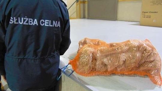 Marihuana w skrzyni biegów