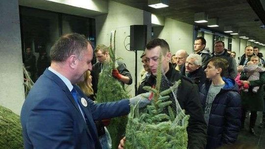 Bezpłatne choinki dla mieszkańców od marszałka