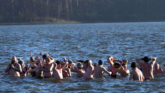 Świąteczna kąpiel morsów