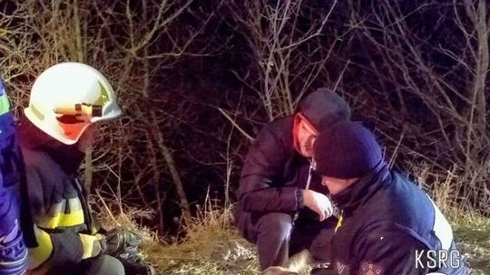 Strażacy na ratunek sarnie