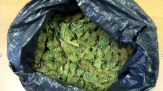 Zorganizowana grupa przestępcza z Chełma. 13 osób zatrzymanych