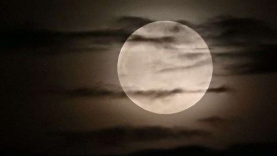 Superksiężyc 2018. Super Blue Blood Moon - zdjęcia