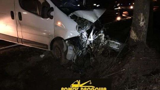 Samochód uderzył w drzewo 
