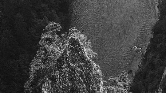 Wystawa Marka Rysia w Zamościu 