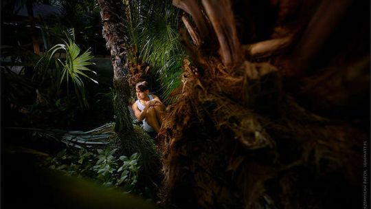 Premiera nowego spektaklu Teatru Andersena Księga Dżungli