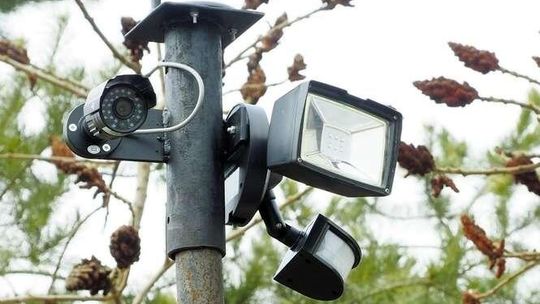 Niebezpieczne życie na zakręcie