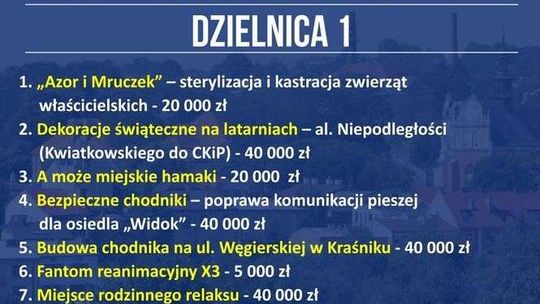 Budżet obywatelski 2018 w Kraśniku - projekty zakwalifikowane do głosowania Budżet obywatelski 2018 w Kraśniku - projekty zakwalifikowane do głosowania