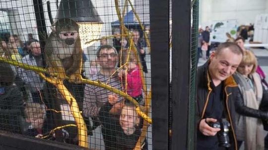 ZOOPark 2018 w Lublinie