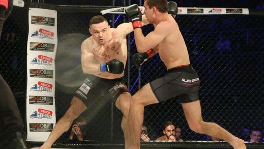 W lubelskiej hali Globus odbyła się gala TFL 13 NOXY NIGHT W lubelskiej hali Globus odbyła się gala TFL 13 NOXY NIGHT