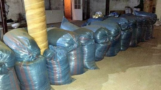 Akcja KAS i policji koło Białej Podlaskiej. Dziupla zlikwidowana