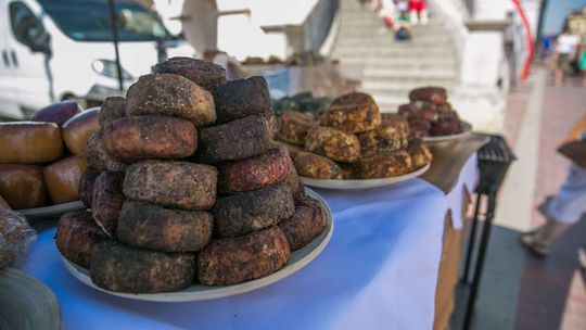 Zamojska Majówka: Festiwal zdrowej żywności