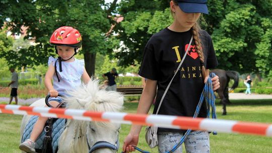 Święto charytatywności w Puławach