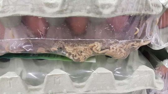 Jajka w sklepie E.Leclerc przy ul. Zana w Lublinie