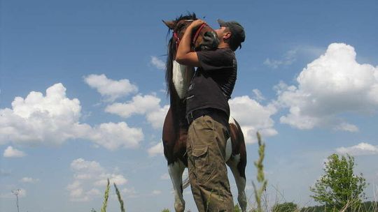 Dusza hucuła Dusza hucuła