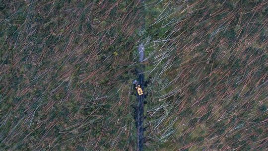 Zdjęcie pojedyncze - I miejsce w kategorii ŚRODOWISKO