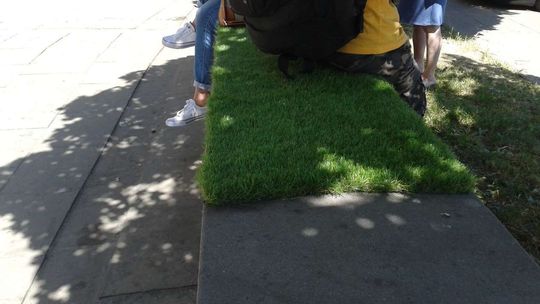 Lublin: Gdzie znaleźć motyle, a gdzie Porosty