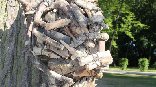 Park Sztuki  w Białej Podlaskiej 