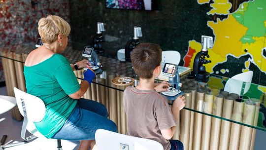 Przyroda w powiększeniu Przyroda w powiększeniu