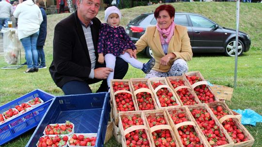 Plantatorzy truskawki w Polesia