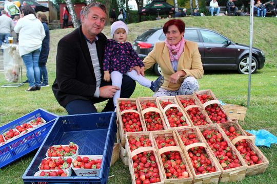 Plantatorzy truskawki w Polesia